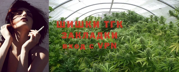 ГАЛЛЮЦИНОГЕННЫЕ ГРИБЫ Алзамай
