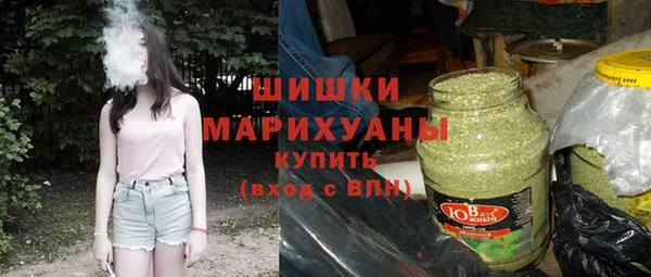 шишки Алексин